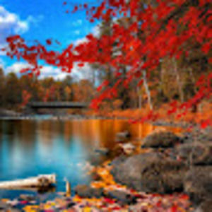 Meet your Posher, Christie